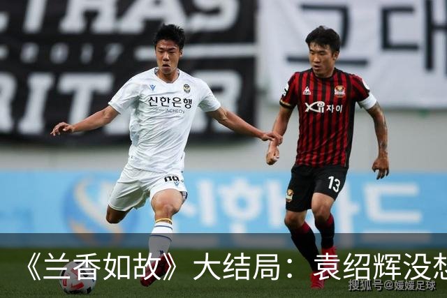 《兰香如故》大结局：袁绍辉没想到，为他报仇的，竟是林锦岐