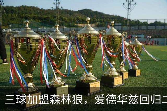 三球加盟森林狼，爱德华兹回归二号位能否成赢球答案？