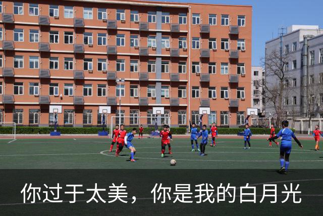 你过于太美，你是我的白月光