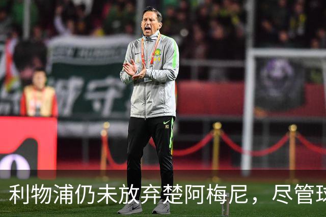 利物浦仍未放弃楚阿梅尼，尽管球员已与皇马续约