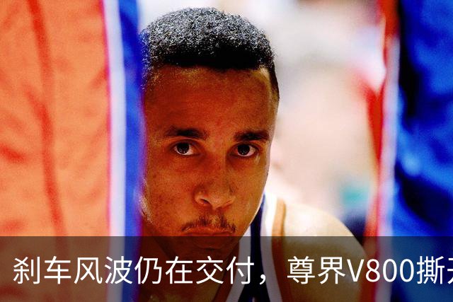 刹车风波仍在交付，尊界V800撕开了市场最真实的分歧