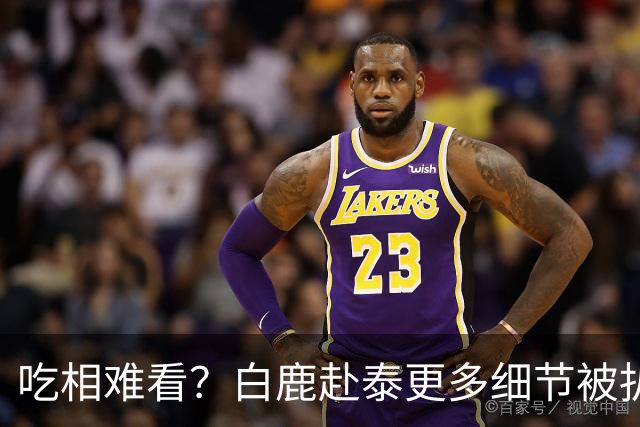 吃相难看？白鹿赴泰更多细节被扒，多人被牵连，难怪坚决不取消活动