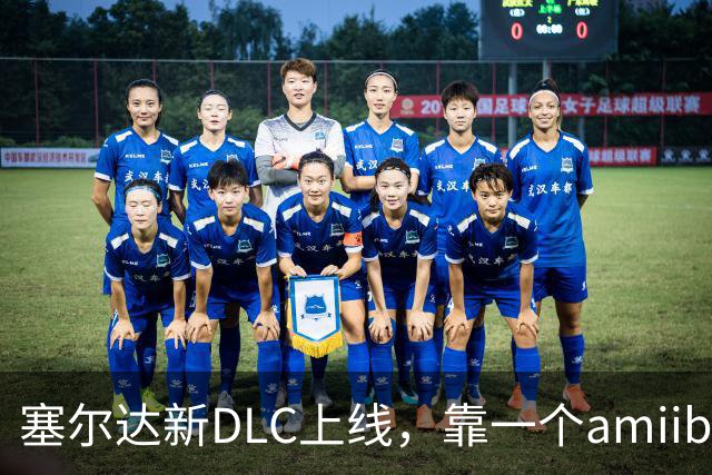 塞尔达新DLC上线，靠一个amiibo解锁，还送滑翔伞布料