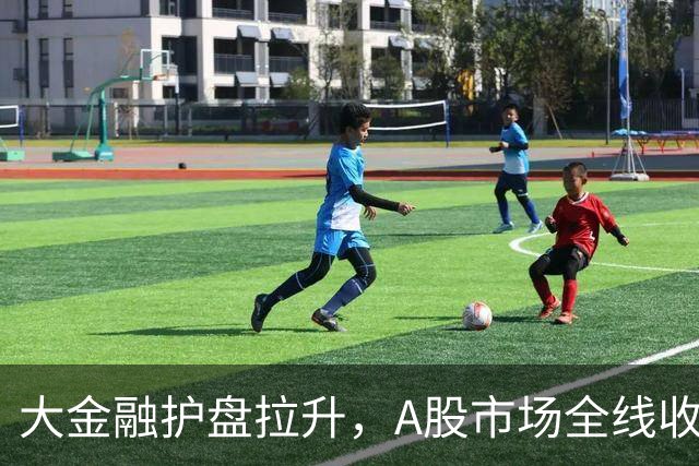 大金融护盘拉升，A股市场全线收跌，科创板跌超4%再创新低