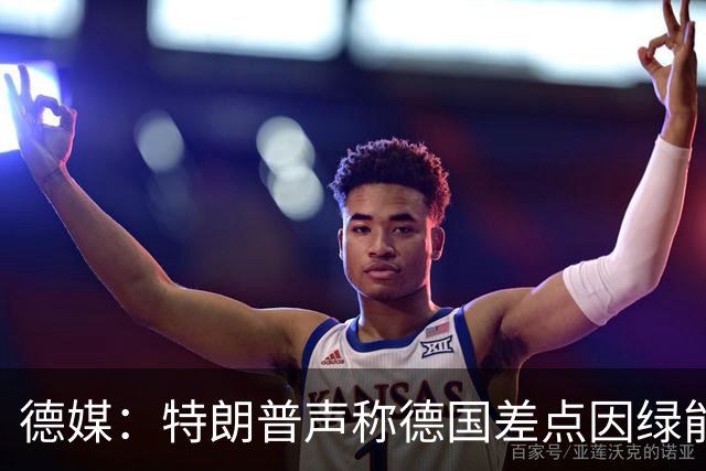 德媒：特朗普声称德国差点因绿能消亡
