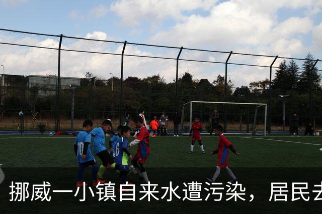 挪威一小镇自来水遭污染，居民去超市取水！专家：永冻土融化使当地岩石重金属进入水源