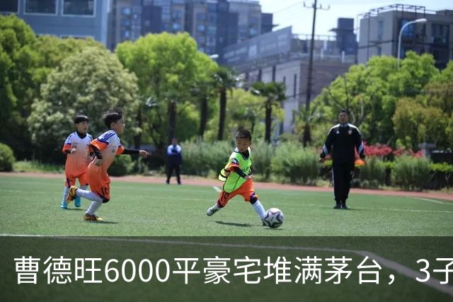 曹德旺6000平豪宅堆满茅台，3子女竟无一人愿住，背后原因不简单