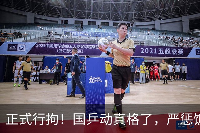 正式行拘！国乒动真格了，严惩饭圈文化，樊振东、王皓深受其害