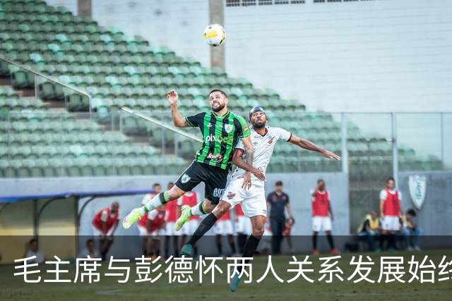 毛主席与彭德怀两人关系发展始终留下遗憾，真理或许真的在彭总这边