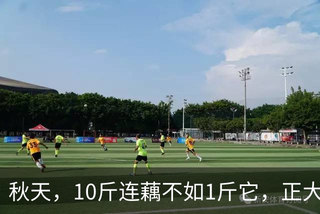 秋天，10斤连藕不如1斤它，正大量上市，多吃滋养润肺，呼呼顺畅