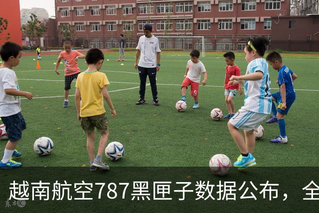 越南航空787黑匣子数据公布，全员生还是个奇迹！