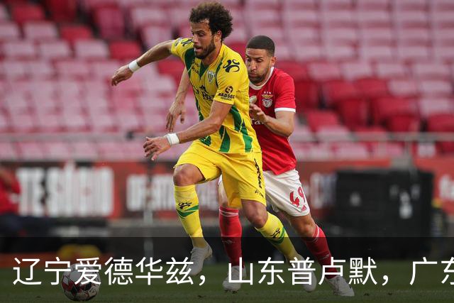 辽宁爱德华兹，山东普卢默，广东博日奇，亟待证明实力