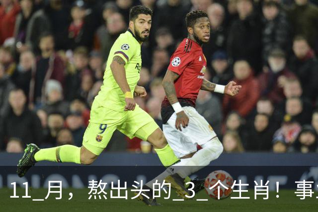 11 月，熬出头的 3 个生肖！事业逐步走高，辛苦付出开始变现