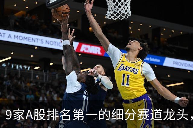 9家A股排名第一的细分赛道龙头，股息率均超过7%，最高达10.4%